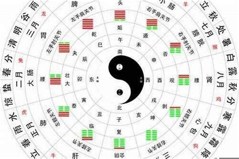 金木水火土五行查询表|五行查询,五行缺什么查询,生辰八字五行查询,出生时辰五行查询